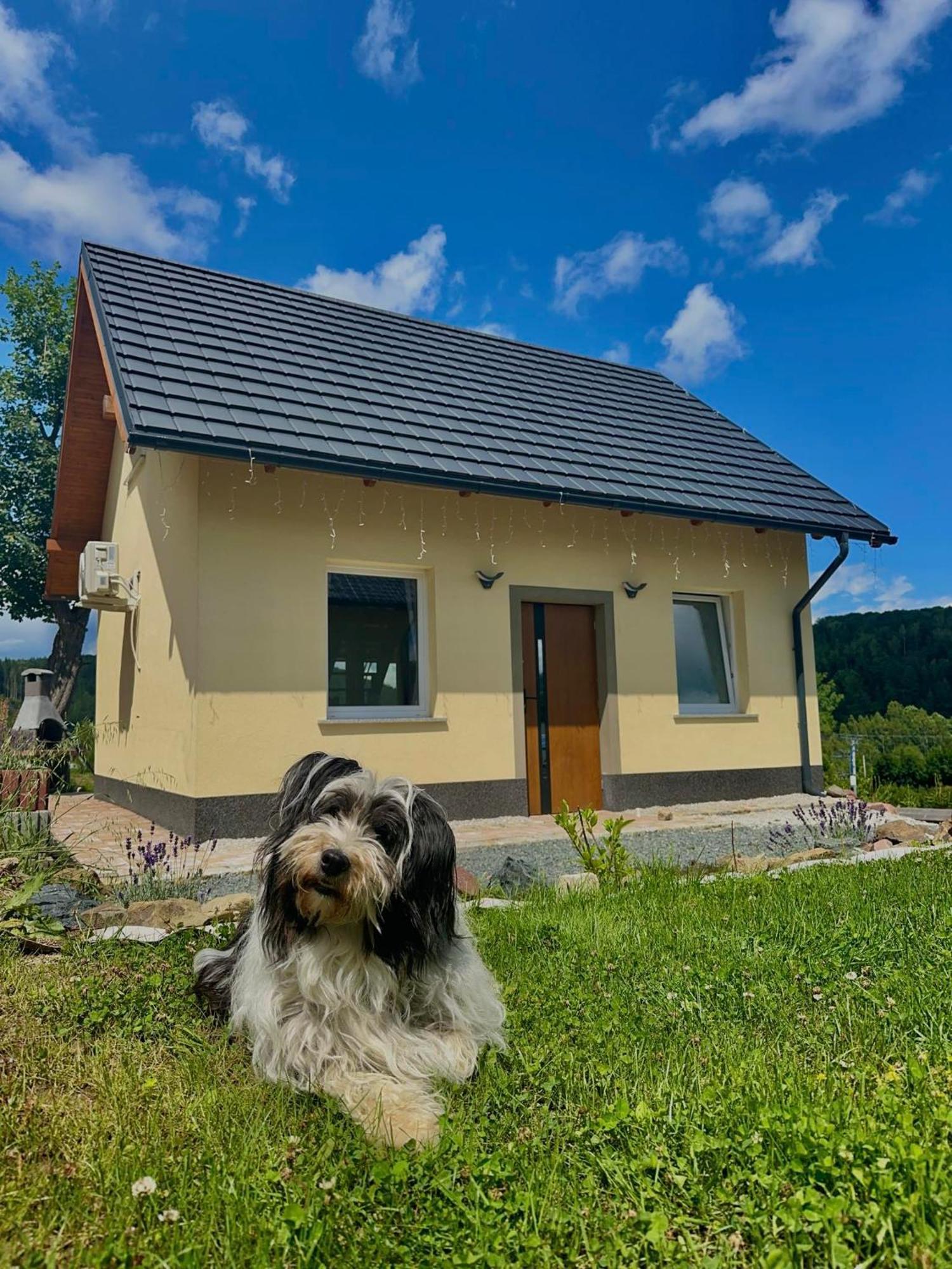 Lesna Ostoja Villa Lubawka Exterior photo